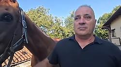 Palio di Siena. Colagè: "Benitos sta bene, il giudizio spetta ad altri"