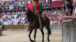 Palio di Siena, il capitano del Drago Jacopo Gotti: "Zenis può fare bene, Coghe merita il giubbetto"