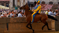 Palio di Siena, la seconda prova: Anda e Bola e Benitos spingono, belle andature e un brivido