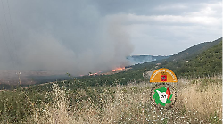 Fulmine provoca vasto incendio boschivo a Sarteano: intervento in corso complicato dal vento, la situazione