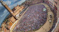 Palio di Siena, ecco l'ultima volta che hanno vinto le dieci Contrade in Piazza stasera