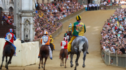 Palio di Siena, il borsino delle accoppiate: Leocorno e Civetta favorite, ma attenti alle sorprese
