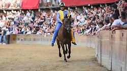 Palio di Siena, la Tartuca si aggiudica la provaccia