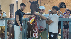 Palio di Siena, il barbaresco del Valdimontone Ermini: "Dopo la partenza ero certo che avremmo vinto"