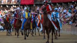 Palio di Siena, il grande giorno della Carriera: tutti gli orari