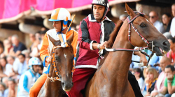Palio di Siena, Scompiglio: "Una Carriera da cancellare".  Velluto: "Credevo nel cavallo"
