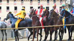 Palio di Siena, l'operato del mossiere sotto attacco. Papei (capitano Civetta): "Ha fatto una cosa vergognosa"