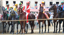 Palio di Siena, ecco quali erano le altre mosse