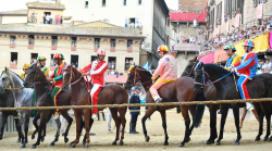Palio di Siena, le pagelle dei fantini: ecco promossi e bocciati, tutti i voti