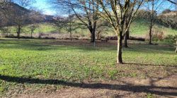 Siena, un nuovo asilo nido comunale nel parco di via Aretina