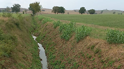 Strade allagate a Monteroni d'Arbia, scattano le verifiche del Consorzio di Bonifica su fossi e torrenti: la situazione