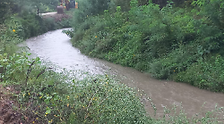 Maltempo sulla provincia di Siena: nessuna criticità per i corsi d'acqua. La situazione meteo
