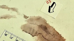 Delitto di Garlasco, ecco cosa è emerso dall'incidente probatorio: la decisione sull'impronta 33. Nominato un nuovo perito, quando sarà il prossimo appuntamento in aula