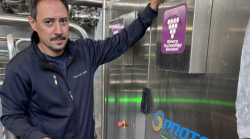 L'intelligenza artificiale rivoluziona la vendemmia e sceglie i chicchi d'uva migliori: il caso in provincia di Siena