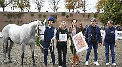 La rassegna del puledro anglo arabo ha fatto centro