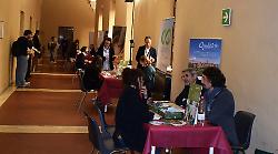 Career week Università di Siena, 2400 studenti in cerca di futuro