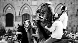 Palio di Siena. La mostra Foto Mosse richiama oltre 800 visitatori