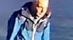 Aggressione di Milano, Vincenzo Lanni voleva "colpire il potere economico"