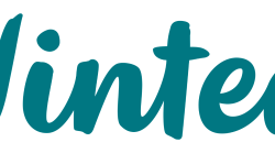 Vinted: i segreti del successo, dalle origini alla valutazione da 8 miliardi