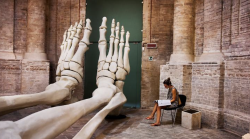 Steve McCurry torna a raccontare l'Umbria: 60 fotografie tra scatti iconici e inediti 