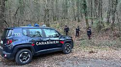 Contrasto allo spaccio di droga, smantellato un bivacco nascosto tra i boschi