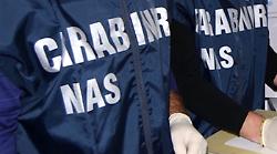 Traffico illecito di anabolizzanti, perquisizioni anche a Siena