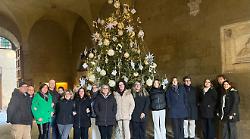 Nel cortile dell'Accademia Chigiana un albero di musica, stelle e sostenibilit&agrave;