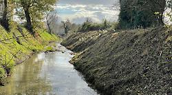 Consorzio di Bonifica, manutenzione ordinaria sul torrente Rosia