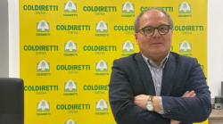 Agricoltura, Solfanelli (Coldiretti Siena): "Aziende in grande difficolt&agrave;, in alcuni casi si produce in perdita&rdquo;