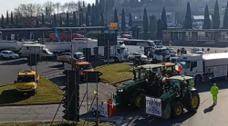 Cinquanta agricoltori della Valdichiana protestano a Milano