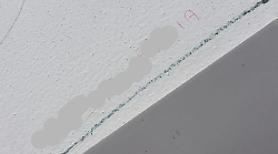 Spunta un'altra scritta sessista nei bagni del Sarrocchi: nel mirino 14enne. Scatta la denuncia ai carabinieri