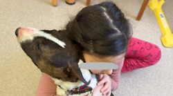 Oltre la cura: clown e amici a quattro zampe, il sorriso di Nicole che trasforma l&rsquo;ospedale