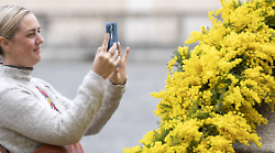 Giornata internazionale della donna, le iniziative nei musei e nei cinema italiani previste per domenica 8 marzo