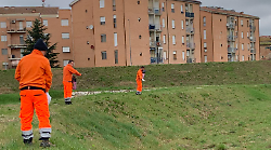 Fiori e api per proteggere gli argini: al via il progetto per la sicurezza e la biodiversit&agrave;