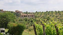 Boschetto Campacci al Vinitaly 2026: debutto per Ruello 2022 e Masgalano 2022