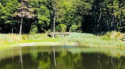 Al Laghetto Verde iniziate le operazioni per lo svuotamento