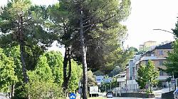 La qualit&agrave; dell&rsquo;aria premia Siena