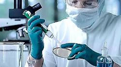 Rapporto Irpet: esportazioni e turismo spingono l&rsquo;economia toscana