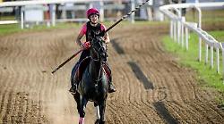 Torneo storico Ascoli citt&agrave; della Quintana, oggi in gara l&rsquo;amazzone Mugnaini