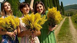 8 marzo, un mosaico di donne: tutti gli eventi tra Siena e provincia