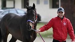 Gingillo vuole il lotto alto