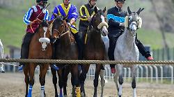 Seconda giornata di corse, &egrave; festa grande a Pian delle Fornaci