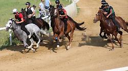 Al via l&rsquo;addestramento a Mociano: subito in pista tre cavalli vittoriosi