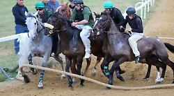 Anda e Bola e Zio Frac subito in mostra a Mociano