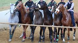 Addestramento, fari di nuovo puntati su Mociano