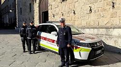 Guide turistiche abusive multate dalla Polizia locale