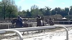 Dino Pes a Fucecchio autentico asso pigliatutto: cinque vittorie