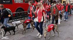Una passeggiata in citt&agrave; per salvare i levrieri