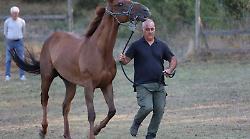 Palio, Dario Colag&egrave; assicura: &ldquo;Benitos ci sar&agrave;&rdquo;