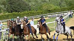 A Mociano un buon ritorno per Benitos: il cavallo si fa apprezzare